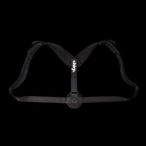 Chirp upper back posture support